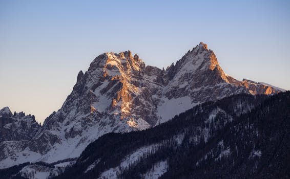 Boost Your Blog's Income: Top Affiliate Programs for Every Niche